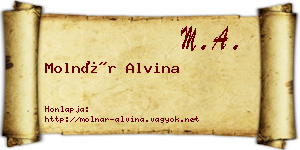 Molnár Alvina névjegykártya